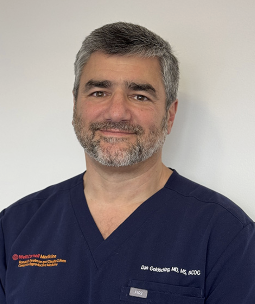 Dan Goldschlag - 186 Joralemon Street, Brooklyn, NY 11201, USA, Brooklyn, New York, 11201