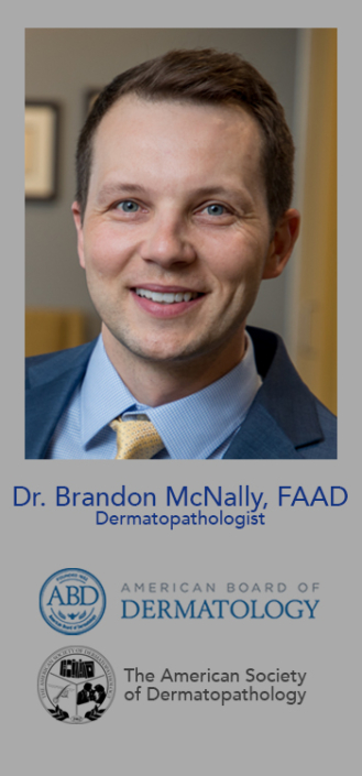 Brandon McNally - 1673 Gezon Parkway Southwest, Wyoming, Michigan, 49518