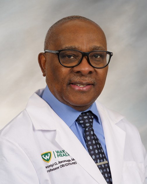 Awoniyi Awonuga - 26400 W 12 Mile Rd, Southfield, MI 48034, USA, Southfield, Michigan, 48034